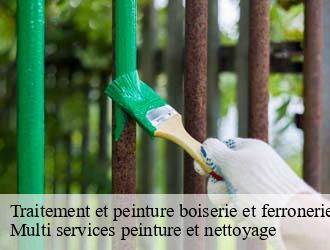 Traitement et peinture boiserie et ferronerie   sanem- Multi services peinture et nettoyage 