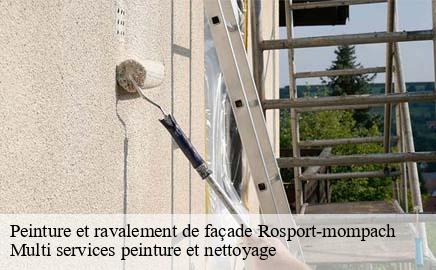 Peinture et ravalement de façade rosport-mompach- Multi services peinture et nettoyage