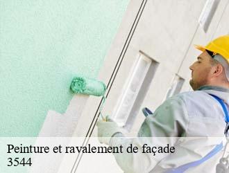 Peinture et ravalement de façade  dudelange-3544 Multi services peinture et nettoyage 