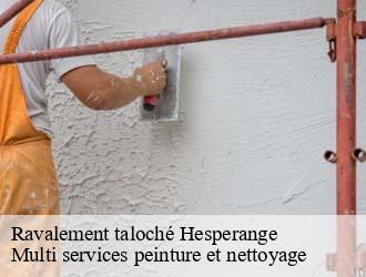 Ravalement taloché  hesperange- Multi services peinture et nettoyage 