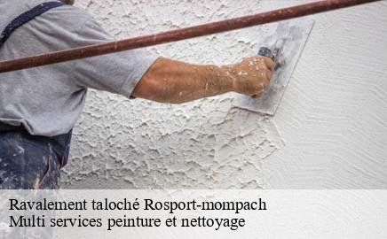 Ravalement taloché  rosport-mompach- Multi services peinture et nettoyage 
