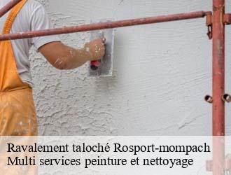 Ravalement taloché  rosport-mompach- Multi services peinture et nettoyage 