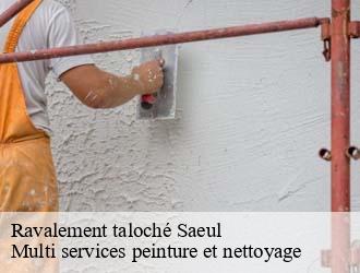 Ravalement taloché  saeul- Multi services peinture et nettoyage 