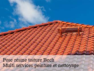 Pose résine toiture  bech- Multi services peinture et nettoyage 