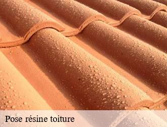 Pose résine toiture  bous- Eric rénovation 
