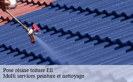 Pose résine toiture  ell- Multi services peinture et nettoyage 