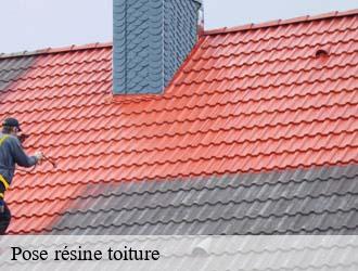 Pose résine toiture grevenmacher- Eric rénovation