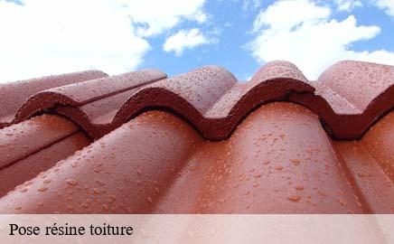 Pose résine toiture  koerich- Multi services peinture et nettoyage