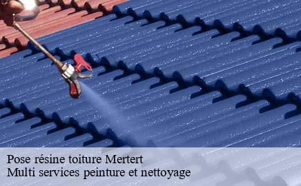 Pose résine toiture  mertert- Multi services peinture et nettoyage 