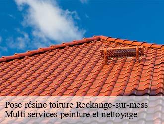 Pose résine toiture  reckange-sur-mess- Multi services peinture et nettoyage 