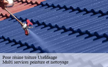 Pose résine toiture  useldange- Multi services peinture et nettoyage 