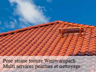 Pose résine toiture  weiswampach- Multi services peinture et nettoyage 
