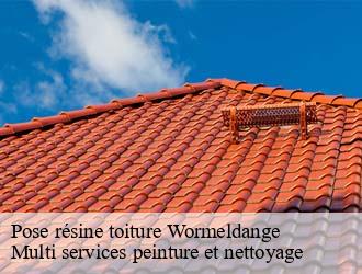 Pose résine toiture  wormeldange- Multi services peinture et nettoyage 