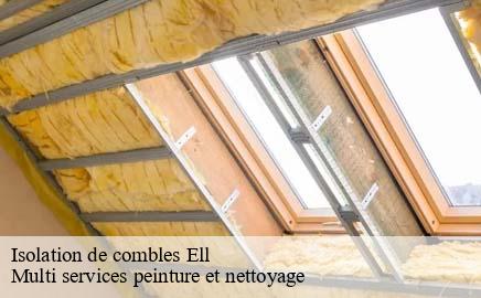 Isolation de combles  ell- Multi services peinture et nettoyage 