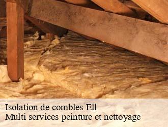 Isolation de combles  ell- Multi services peinture et nettoyage 