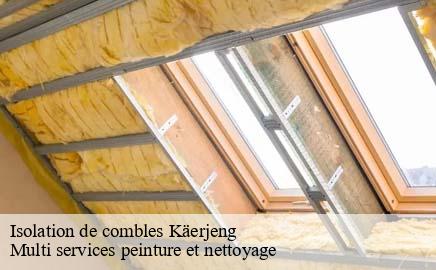 Isolation de combles kaerjeng- Multi services peinture et nettoyage