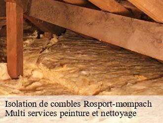 Isolation de combles  rosport-mompach- Multi services peinture et nettoyage 