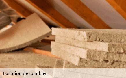 Isolation de combles schengen- Multi services peinture et nettoyage