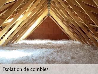 Isolation de combles  steinfort- Eric rénovation 