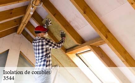 Isolation de combles  dudelange-3544 Multi services peinture et nettoyage 