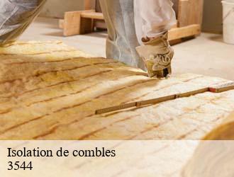 Isolation de combles  dudelange-3544 Multi services peinture et nettoyage 
