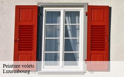 Peinture volets LU Luxembourg  Multi services peinture et nettoyage 