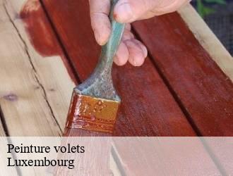 Peinture volets LU Luxembourg  Multi services peinture et nettoyage 
