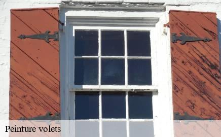 Peinture volets  bourscheid- Multi services peinture et nettoyage 
