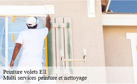 Peinture volets  ell- Multi services peinture et nettoyage 