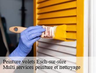 Peinture volets  esch-sur-sure- Multi services peinture et nettoyage 