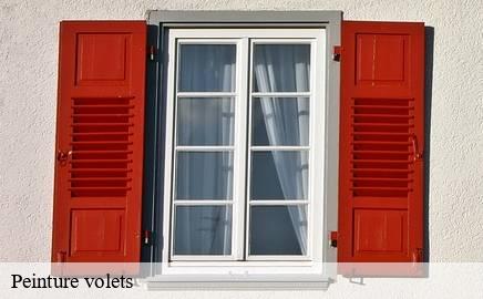Peinture volets  kehlen- Multi services peinture et nettoyage 