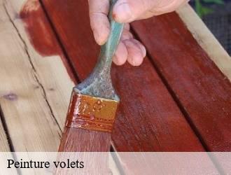 Peinture volets  preizerdaul- Multi services peinture et nettoyage 