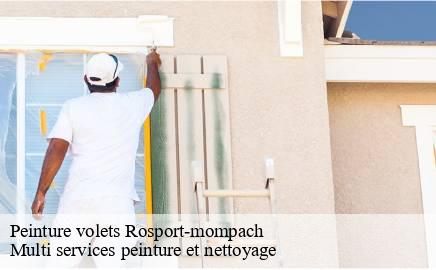 Peinture volets  rosport-mompach- Multi services peinture et nettoyage 