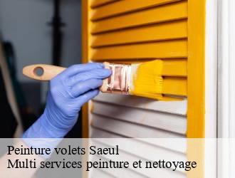 Peinture volets  saeul- Multi services peinture et nettoyage 