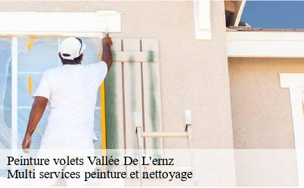 Peinture volets  vallee-de-l-ernz- Multi services peinture et nettoyage 