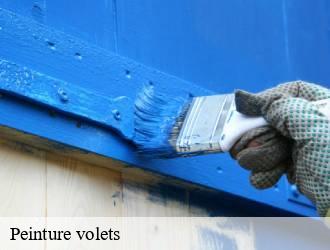 Peinture volets  wiltz- Multi services peinture et nettoyage 