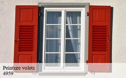 Peinture volets  bascharage-4959 Multi services peinture et nettoyage 
