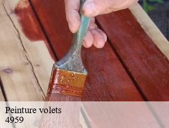 Peinture volets  bascharage-4959 Multi services peinture et nettoyage 