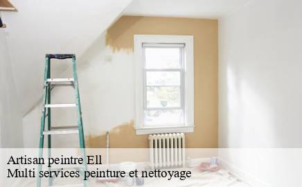 Artisan peintre  ell- Multi services peinture et nettoyage 