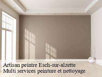 Artisan peintre  esch-sur-alzette- Multi services peinture et nettoyage 