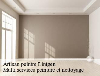 Artisan peintre  lintgen- Multi services peinture et nettoyage 