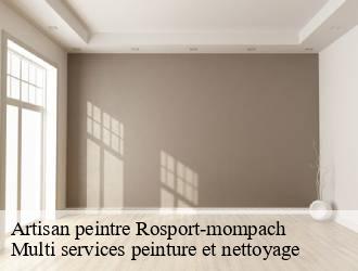 Artisan peintre  rosport-mompach- Multi services peinture et nettoyage 