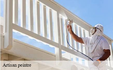 Artisan peintre  rosport-mompach- Multi services peinture et nettoyage