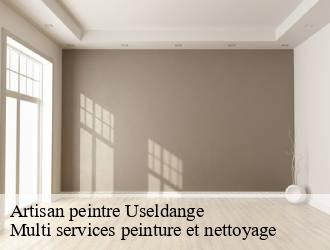 Artisan peintre  useldange- Multi services peinture et nettoyage 