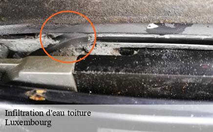 Infiltration d'eau toiture LU Luxembourg Multi services peinture et nettoyage