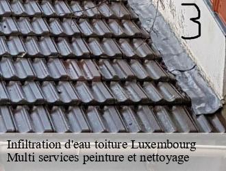 Infiltration d'eau toiture LU Luxembourg  Multi services peinture et nettoyage 