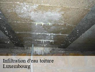 Infiltration d'eau toiture LU Luxembourg  Multi services peinture et nettoyage 