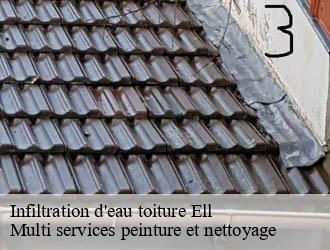 Infiltration d'eau toiture  ell- Multi services peinture et nettoyage 