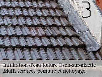 Infiltration d'eau toiture  esch-sur-alzette- Multi services peinture et nettoyage 