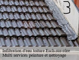 Infiltration d'eau toiture  esch-sur-sure- Multi services peinture et nettoyage 